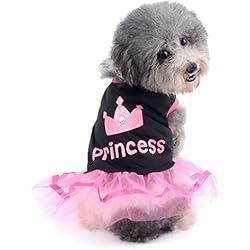 Ranphy Falda pequeña para Perro, Gato, Chihuahua, Ropa para niñas, Vestido de Princesa Corona para Cachorro, Verano, Rosa y Blanco