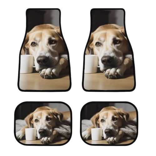 Tapis de sol voiture chien anti-glisse pour résoudre le problème des moquettes sales