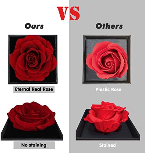 Preserved Real Rose in Box with I Love You Necklace Handmade Eternal Flower Valentine Gifts for Her Girlfriend Wife Mother Women on Wedding Anniversary Birthday Valentine's Day Mother's Day Christmas