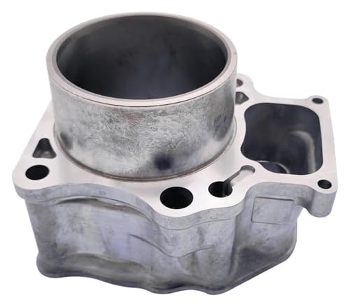 Joints segments piston cylindre TRX420 12100HP7A00 Rancher - 3