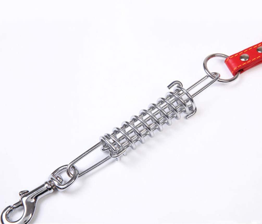 Guinzaglio per Animali Domestici Guinzaglio per Cani in Acciaio Inossidabile con Molla a Strappo Forniture per Animali Domestici per addestramento a Piedi Professionale