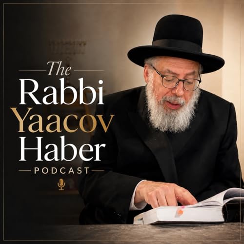 The Rabbi Yaacov Haber Podcast cover art