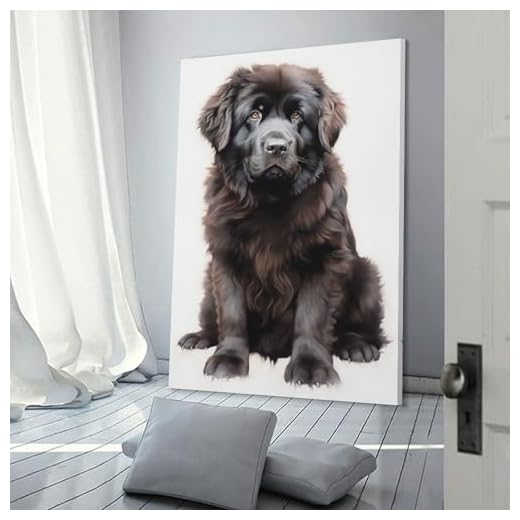 Newfoundland Dog Wall Art for Home Decor