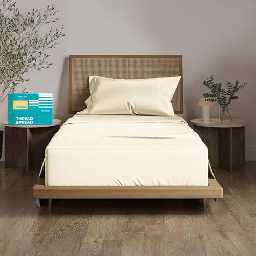 THREAD SPREAD 800 Series Egyptian Cotton Twin XL Sheets Set, Ivory