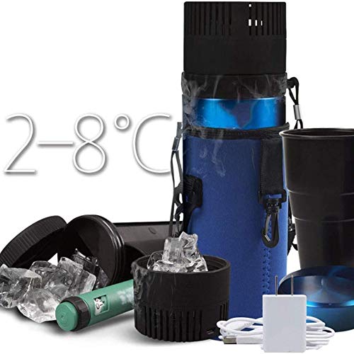 Insulin Cooler Reisekoffer Mit Ladegerät Für Strand Flugzeug Auto Diabetic Organizer Syringe Vial Tragbarer Halter-Harter Mini-Kühlschrank