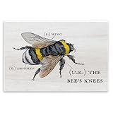 Stupell Industries Anatomy of Honey Bee Pun Charming Bee's Knees