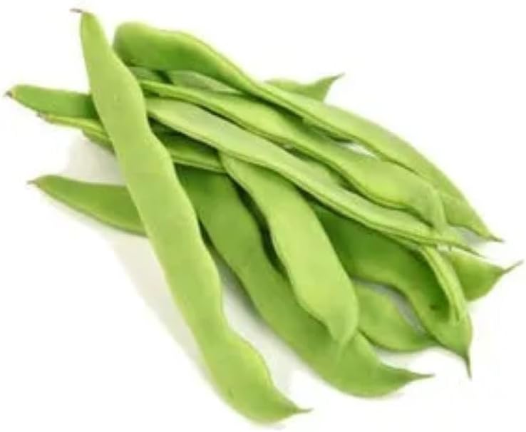 FASULYE ROMANO OTURAK (ÇOKLU TOHUM) - 25 Gram
