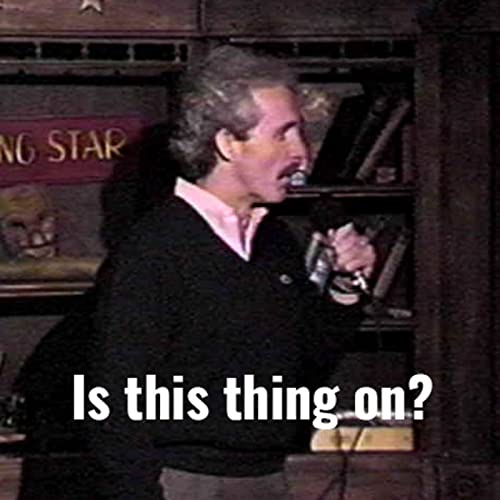 The Enlightened Rogue cover art