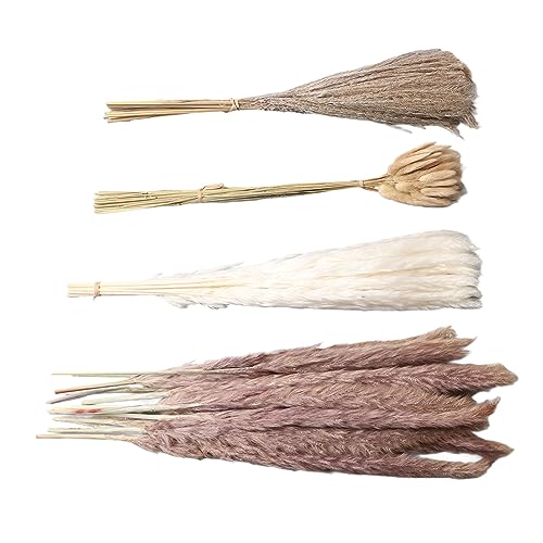 100 unidades de decoração de grama de pampa seca, 15 unidades de pampas brancas, 15 unidades de pamp