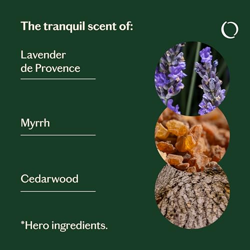 Relaxed Essential Oil Blend - Tranquil Scent of Lavender, Myrrh & Cedarwood - Aromatherapy - Crafted in France - Pure & Natural - Apply Directly on Skin or in Diffuser - Image 4