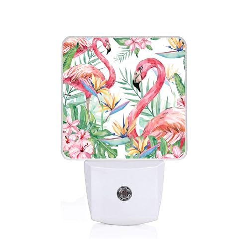 Image of Summer Flamingo Night Light, Plug-into Wall Palm Tree Tropical Flower Nightlight Lamp with Dusk to Dawn Sensor, Led Lamp 0.5W Energy Efficient for Boys Girls Adults Home Decor