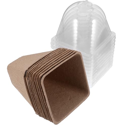 Alasum 10 Piezas Macetas para Semilleros Biodegradables con Tapa Transparente Vasos de Pulpa de Papel con Central para Germinación de Plantas Adecuadas para Suculentas y Jardín Interior
