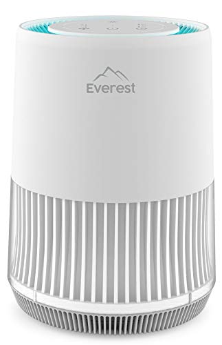 Everest Purificador de aire Pure One – Ambientador para toda la casa, tecnología de 3 filtros – Filtro hasta el 99,5% de las partículas – Modo noche silencioso, luz nocturna y temporizador.