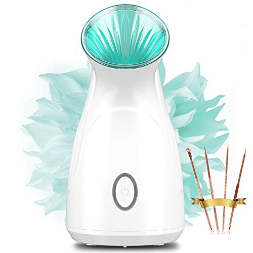 Facial Steamer for Face