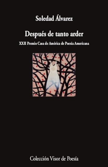Portada de Después de tanto arder