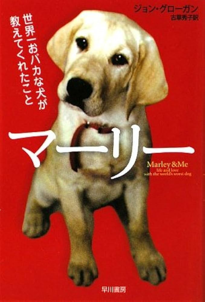マーリー 世界一おバカな犬が教えてくれたこと (特別編) [DVD] oyj0otl 41QDsYkalPL._UF350,350_QL80_.jpg