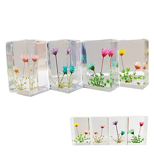 Ptgmh Flower Paperweight 4 Pcs Resin Paperweights For Desk With Real Pressed Flower Samples Table Decoration Clear Square Paperweight Cube Desk Ornament (Color A) #TOP26