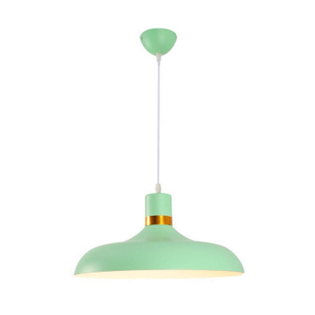 Abat-jour plafond pendre light accessoires de champ ajustement lustre - 6