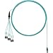 Panduit - FXTRP8NUSSNF016 Fiber Optic Network Cable - 16 ft Fiber Optic Network Cable for Network Device - First End: PanMPO Network - Male - Second End: LC Network - Male - 10 Gbit/s -