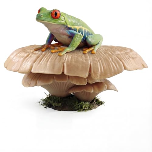 maozyiltle Mushroom Reptile Ledge| Tree Frog Terrarium Tank Accessories, Crested Gecko Tank Accessories, Frog Habitats, Fish Tank Decor| Terrarium Plants Decor from Daughter| No Suction Cups