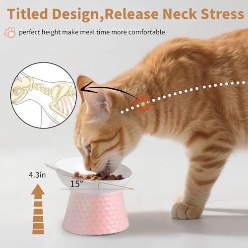 Image of Ceramic Raised Cat Bowl with Stand and Bow Tie, Tilted Elevated Anti-Vomit Cat Dish for Whisker Relief, Microwave & Dishwasher Safe, Cute Pet Food Bowl for Cats and Small Dogs