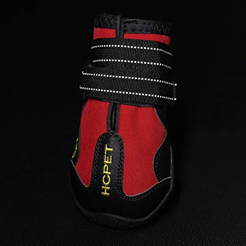 Chaussures pour chiens pour éviter les blessures aux pattes et les glissades