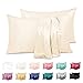Duerer Fundas de Almohada satén Sedoso estándar para 2 Piezas, con Cierre de sobre, Muy Liso Suave de 100% Microfibra, Belleza Facial, Cuidado de la Cara, hipoalergénico - 50x66cm, Beige