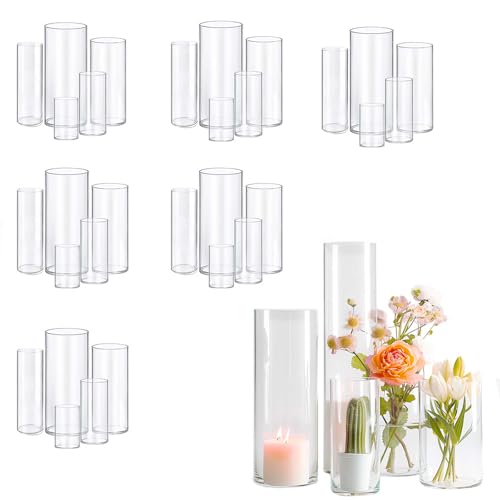30pcs Glass Vase Cylinder Vases for Centerpieces Small Flower Glass