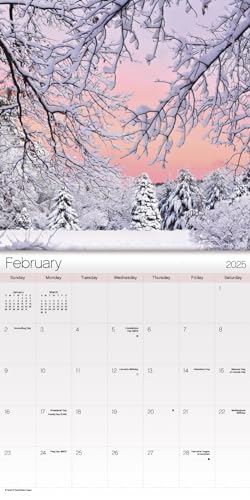 2025 Seasons Mini Wall Calendar - Thumbnail 3