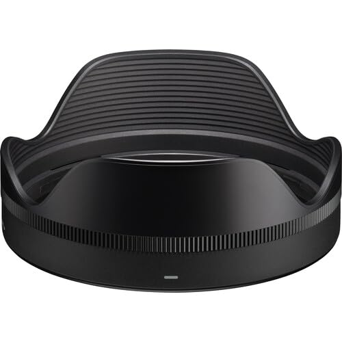 Amazon.co.jp: シグマ(Sigma) レンズ 20-60mm F2.8-4 DG Sony E