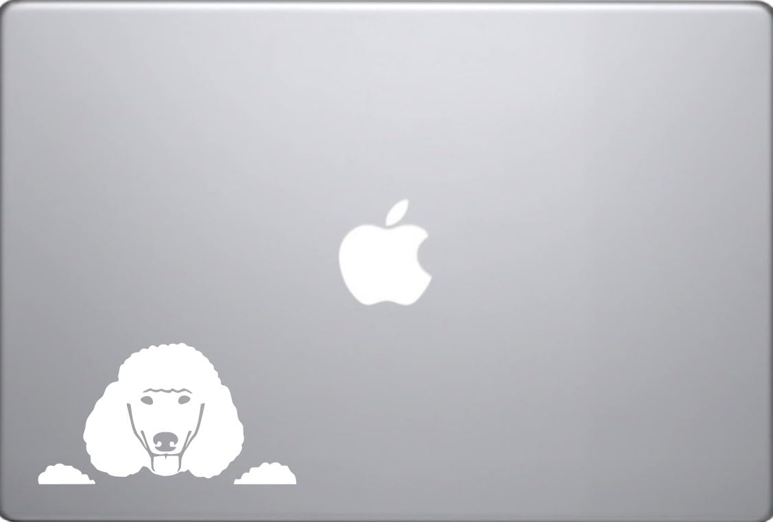 Custom Decal Car for Peeking Poodle Vinyl Decal - Car Truck Laptop Bumper Sticker Decal/White - Image 2