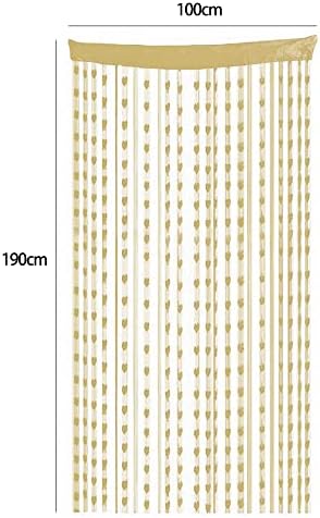 Door Curtains Window Fly Screen:1m x 2m Champagne Gold Doorways Divider Wall Panel Windows Divider Blind Hanging Tassel Heart Shape String Curtain Background for Home Living Room Patio Decor