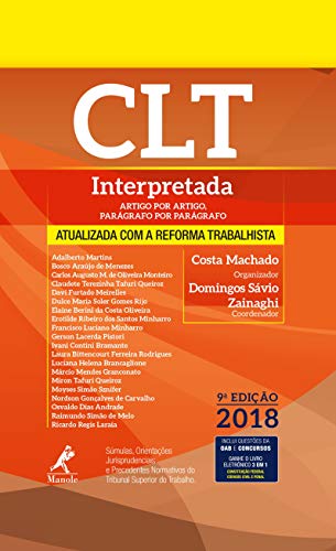 CLT interpretada: artigo por artigo, parágrafo por parágrafo