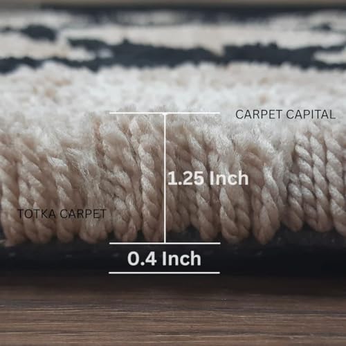 Image of Modern Texture Shag Area Rug Fluffy Microfiber 2inch Pile for Living Room, Bedroom(6x8feet,Beige28)