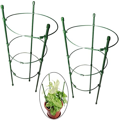 2-Piece Climbing Rattan Vines Plant Holder With 3 Ring Set Green 45 centimeter, Climbing Rattan Plant Holder Round Shaped Green Vines Flower Rack Growing Plants Stand Rack