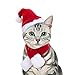 Namsan Cat Christmas Costume Cat Santa Hat with Christmas Scarf Dogs Xmas Outfit Kitten Costumes, Cotton Red