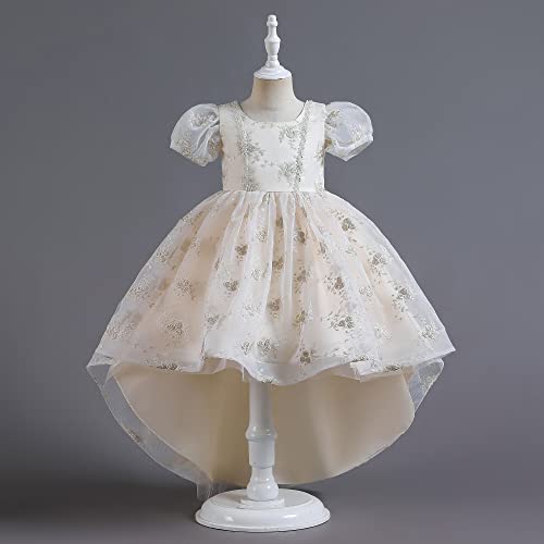 Robe de princesse brodée champagne pour fille avec traîne florale élégante - 2