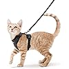 rabbitgoo Cat Harness and Leash for Walking, ...