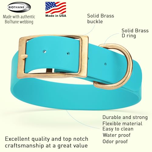 Image of Viper Biothane Heavy Duty Waterproof Dog Collar Strong Coated Nylon Webbing w /Solid Brass Hardware Odor-Proof Easy to Clean High Performance Fits Small Medium or Large Dogs, Sky Blue