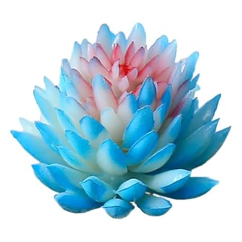 Plantes succulentes artificielles CNANRNANC Cover