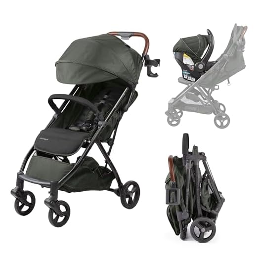 Ingenuity 3Dquickclose Compact Stroller
