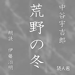 『荒野の冬』のカバーアート