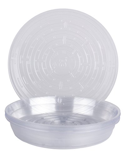 Curtis Wagner 10 Piece Clear Vinyl Plant Saucer, Round