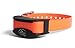 SportDOG Brand SDR-AF Add-A-Dog for SD-425 and SD-825 - Receiver/Collar Only