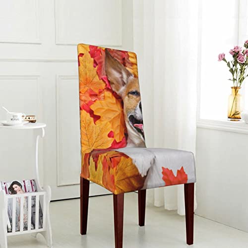 Dog Fall Maple Leaves Chair Covers Removable Stretch Wingback Chair Slipcovers Reusable Accent Chair Protectors For Dining Room Banquet Home Decor #TOP3