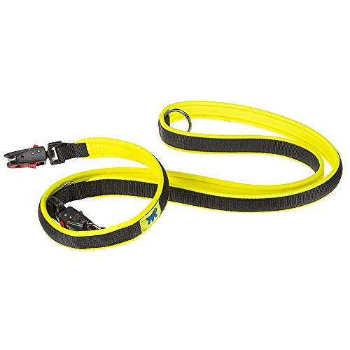 Ferplast ERGOFLUO GA Training Dog Lead, 3 Adjustable Lengths, Soft Padded Handle, Anti-Abrasion, Italian Design, 200 x 1.5 cm