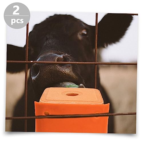 Buying Guide OFFSCH 2pcs Tray Salt Block Holder Salt Brick Plastic