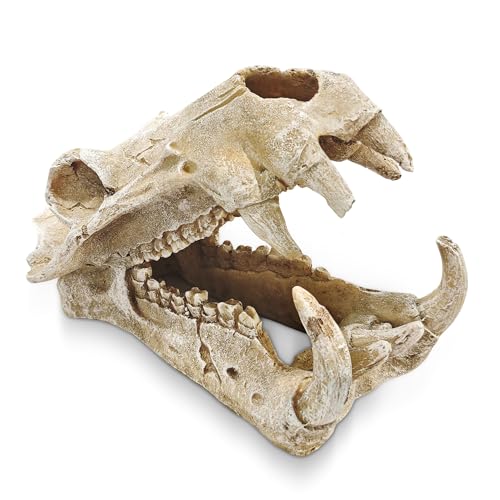 Image of Dinosaur Skull Aquarium Decor - Ideal for Fish Tank Decorations, Terrarium Decor, Aquarium Ornaments, and Bearded Dragon & Gecko Tank Accessories, Gift for Reptile & Fish Lovers