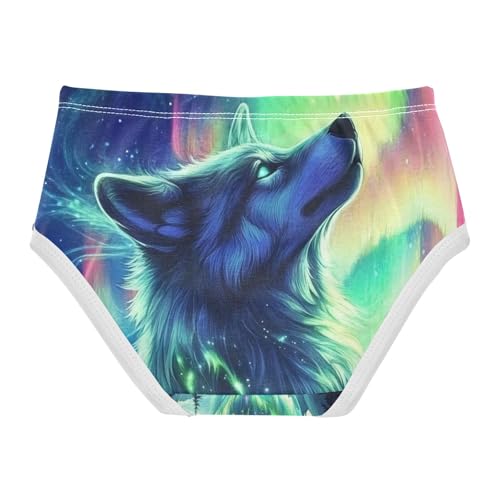 Aurora Wolf Toddler Girls's Underwear 2T 202c02782