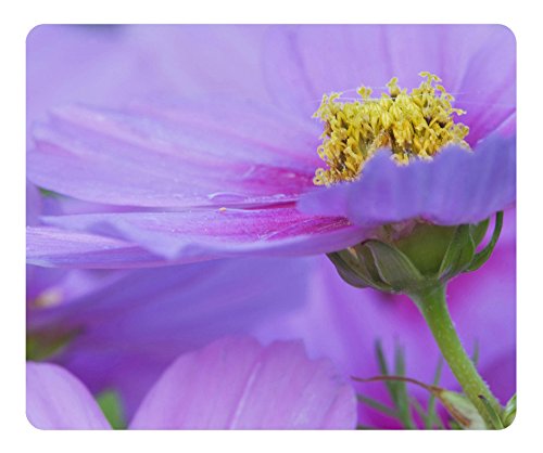 Close Up Of A Cosmos Flower Maine Gaming Mouse Pad - Unique Personalized Oblong Shaped Mouse Pad Design Natural Eco Rubber Durable Computer Desk Stationery Accessories Gifts For Mouse Pads - Support Wired Wireless or Bluetooth Mouse